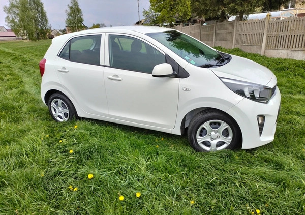 Kia Picanto cena 30000 przebieg: 36251, rok produkcji 2018 z Głuchołazy małe 172